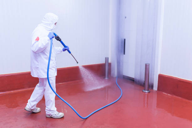Best Warehouse Cleaning  in Echelon, NJ
