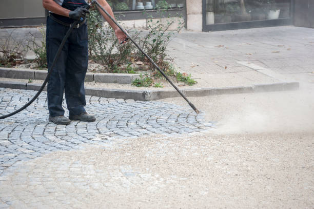 Best Roof Washing  in Echelon, NJ